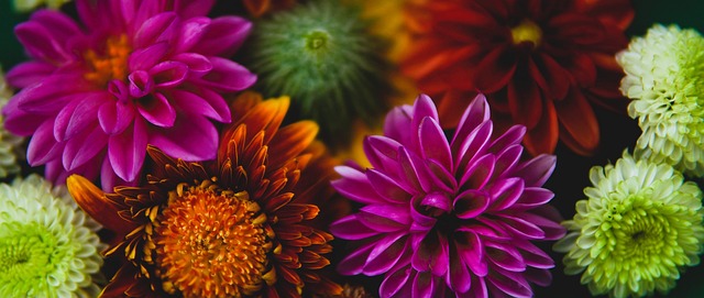 关注企业的 关注企业的