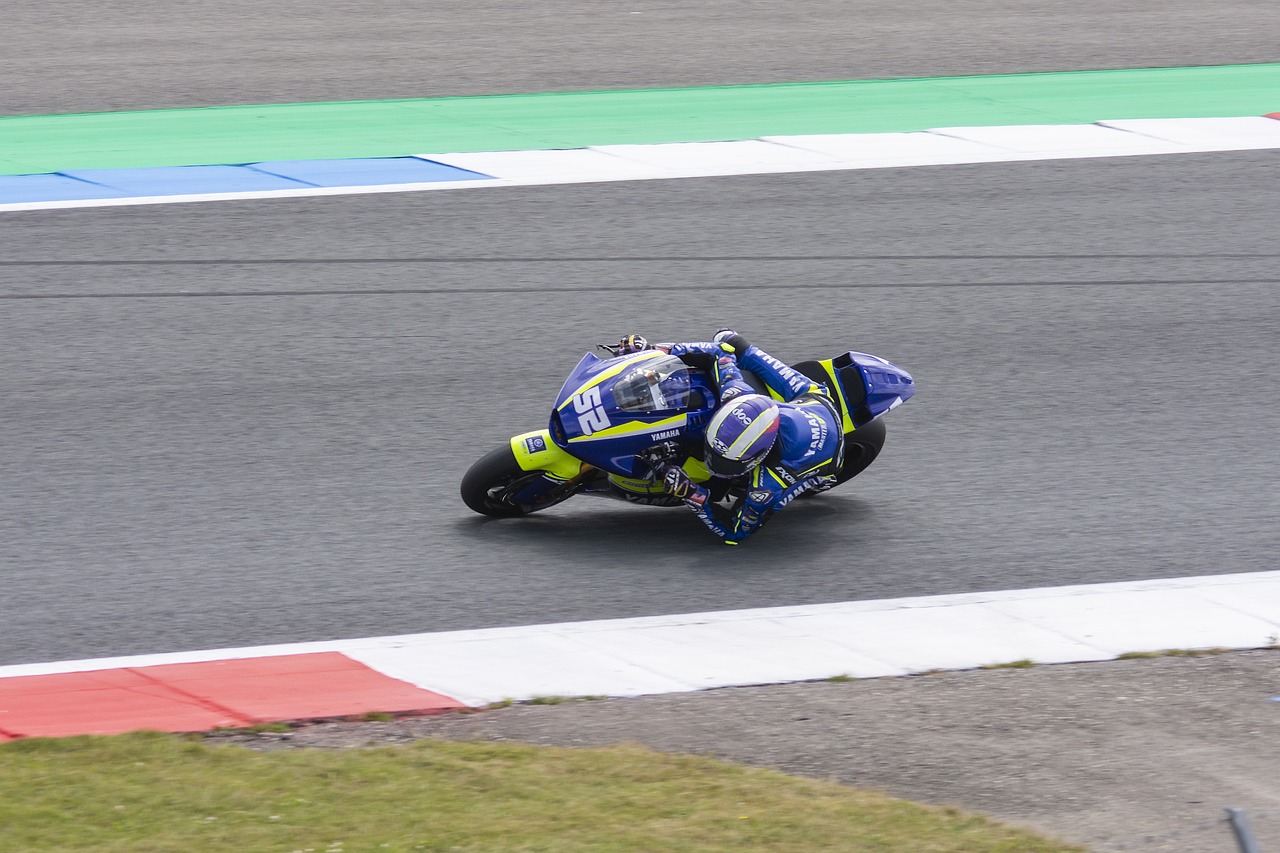 绽放他的光 绽放他的光