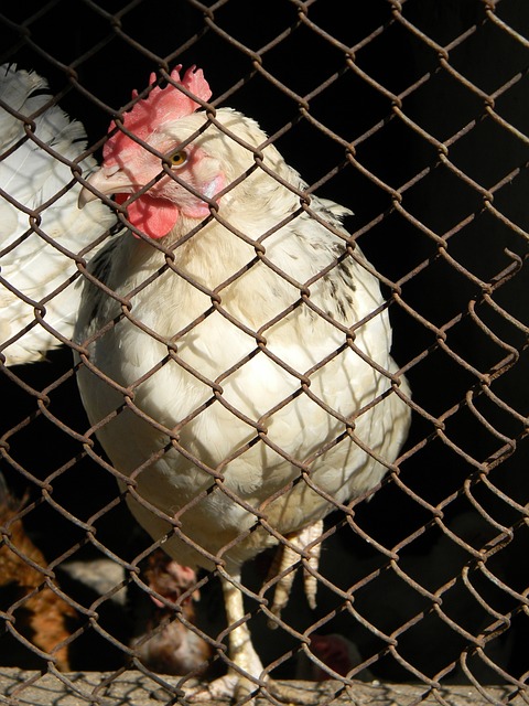 不仅剥夺了 不仅剥夺了