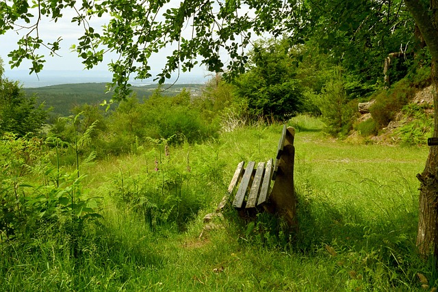 亚冬会的冰 亚冬会的冰