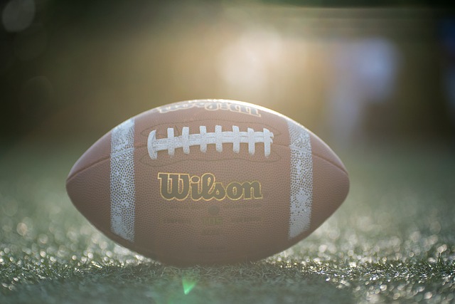 己身体素质 己身体素质