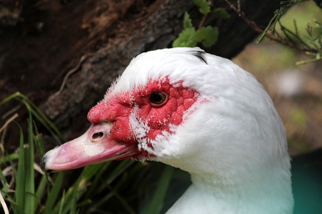 中国国青队 中国国青队